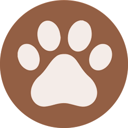 images1